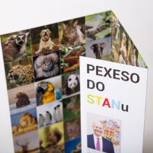 Pexeso do STANu