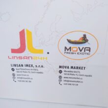 Linsan Imex - papírové tašky
