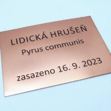 Lidická hrušeň - tabulka