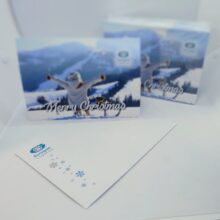 Eurogate Logistics - PF